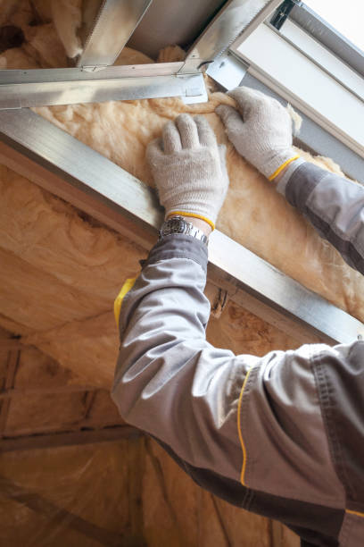 Best Insulation Maintenance and Repair in Milbank, SD